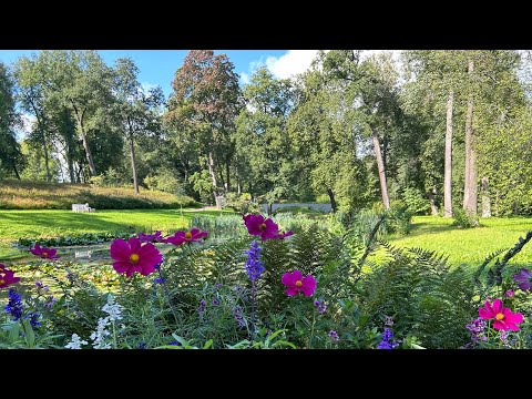 Видео: Парк Александрия. Walk in the wonderful park