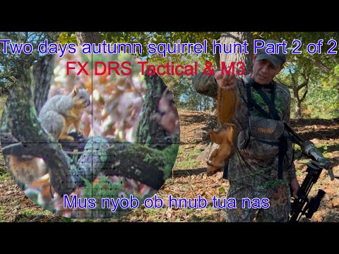 Видео: Двухдневная осенняя охота на белку | FX DRS Tactical & M3 | Mus Nyob ob hub tua nas | Часть 2 из 2.