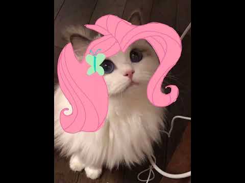 Видео: ути путишка/speed up/