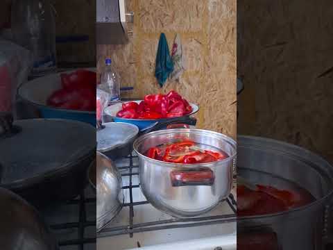 Видео: на 3 л бан 1 ст л соли 2 ст л сахара  3 ст л уксуса