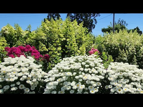 Видео: Как мы поливаем наш сад...