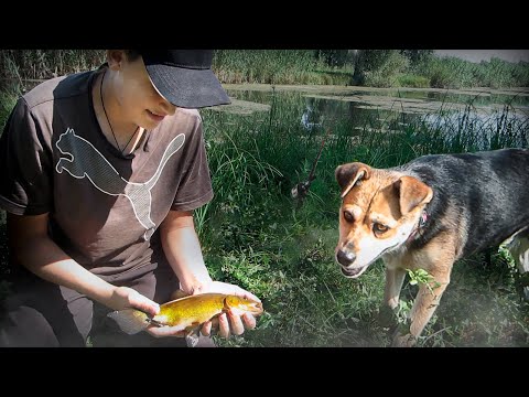 Видео: МЫ  НЕ ОЖИДАЛИ ЧТО ПРИПЛЫВУТ ОНИ... УТАСКИВАЮТ УДОЧКУ ПРЯМО В ВОДУ!