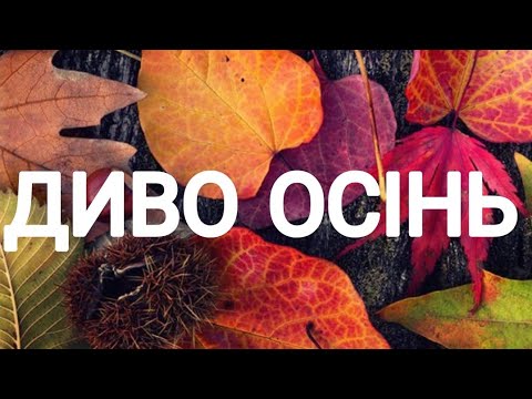 Видео: Диво-осінь. Плюс(+) з словами.