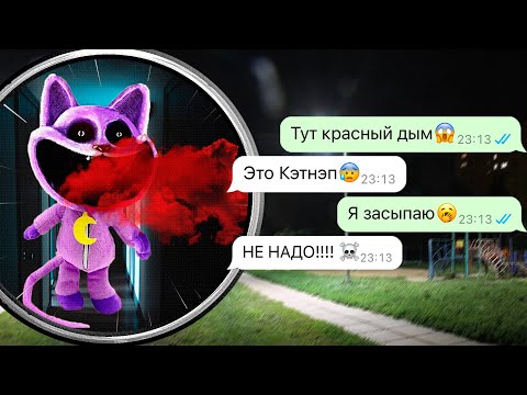 Видео: страшный Кот Дремот охотится на нас