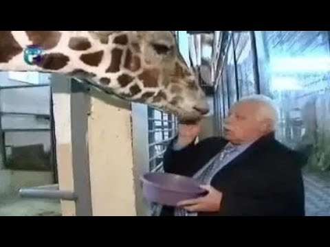 Видео: Владимир Спицин, директор Московского зоопарка