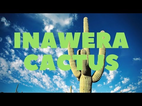 Видео: Самозамес и Миксология. Inawera Cactus - Полный обзор и рецепт.