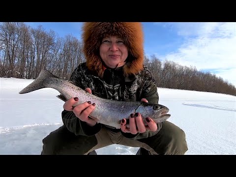Видео: Эх рыбалочка. За микижей по реке Камчатка.