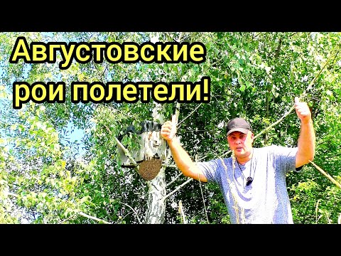 Видео: Вот это съездил проверил ловушки! Чуйка меня не подвела в этот раз!