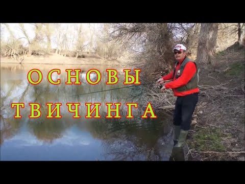 Видео: Константин Кузьмин. Основы твичинга, 2013 год.