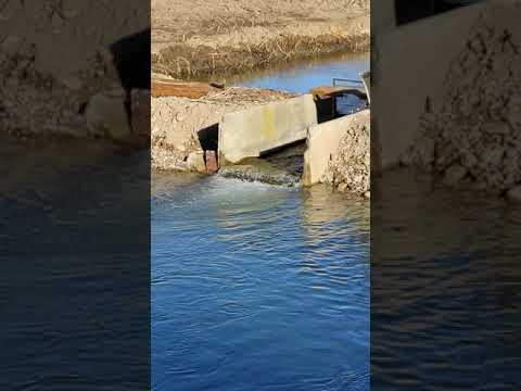 Видео: как строить пруд для разведения форели на маленькой воде.