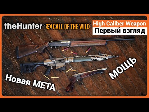 Видео: Первый взгляд на High Caliber Weapon Pack в theHunter Call of the Wild