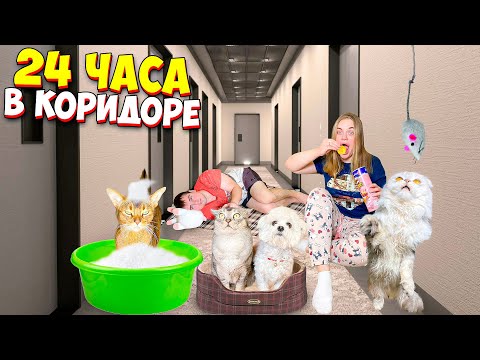 Видео: 24 ЧАСА в КОРИДОРЕ на полу С КОТАМИ под ДВЕРЬЮ | УСТРОИЛИ ДРАКУ!!!
