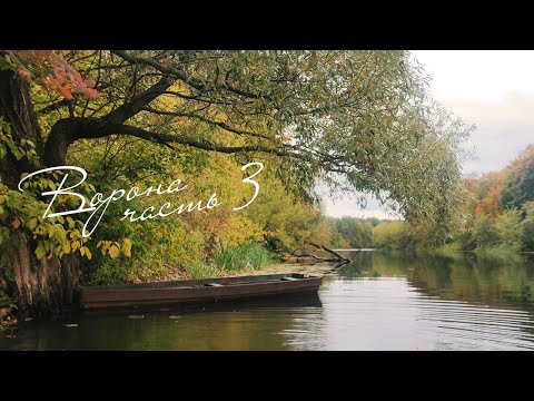 Видео: Река Ворона. Верховья. Водный поход 2022. Часть 3