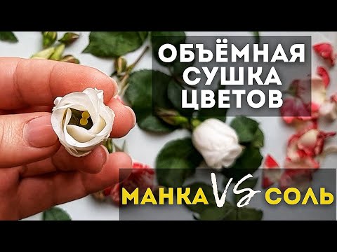 Видео: Объемная сушка цветов в СОЛИ и в МАНКЕ. Что лучше? Мой опыт.