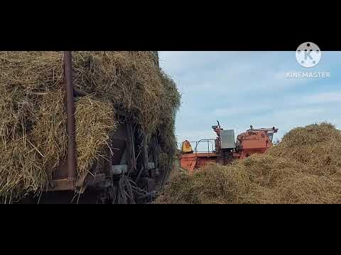Видео: Жизнь в селе#Казахстан#Ещё одна телега сложена. 