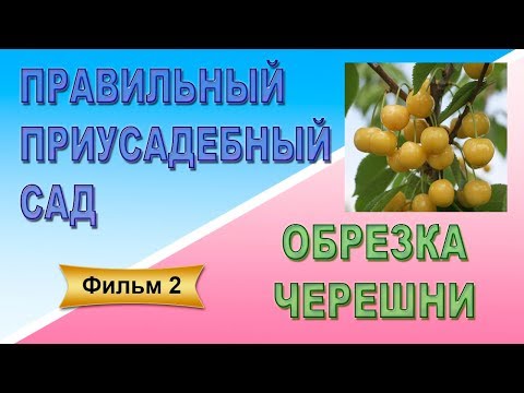 Видео: Правильный приусадебный сад Фильм 2 Обрезка черешни