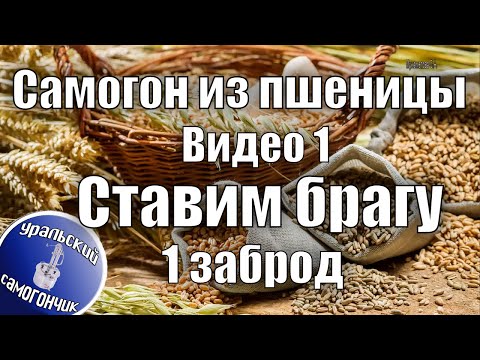 Видео: Самогон из пшеницы. Видео 1 - Ставим брагу, 1 заброд.