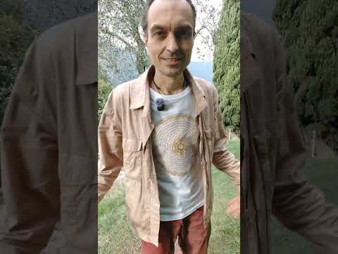 Видео: Практика (268) #гимнастика #цигун