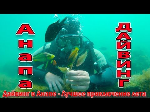 Видео: Дайвинг в Анапе. Подводная жизнь в Черном Море 89282062426