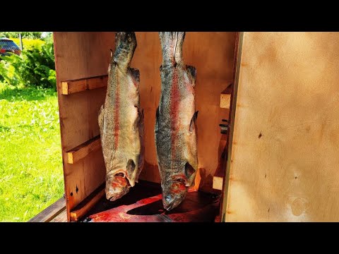 Видео: РЫБА ХОЛОДНОГО КОПЧЕНИЯ. Как ВКУСНО Коптить КРАСНУЮ РЫБУ ФОРЕЛЬ.