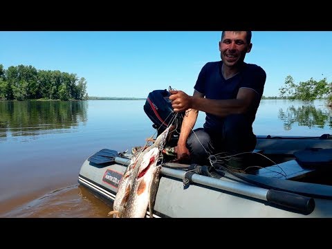 Видео: Рыбалка в троллинг на Каме | троллинг щуки и судака | откртытие сезона 2019