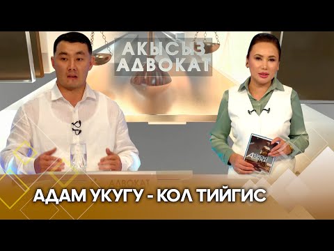 Видео: Адам укугу - кол тийгис //Акысыз адвокат