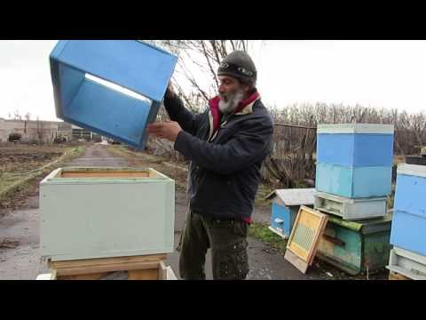 Видео: Устройство улья из ЭППС 07.01.2014