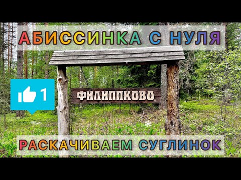 Видео: АБИССИНСКАЯ СКВАЖИНА С НУЛЯ | РАСКАЧИВАЕМ СУГЛИНОК