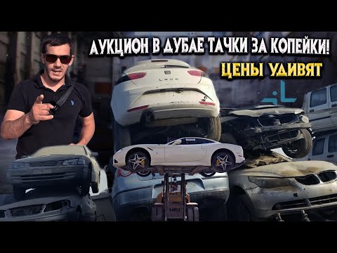 Видео: Аукцион в Дубае тачки за копейки! 10 самых дешевых авто в 2023! цены удивят!