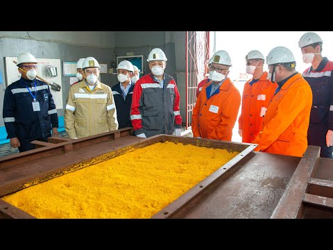 Видео: Қазатомөнеркәсіп басшысы Қызылорда және Түркістан облыстарындағы уран өндіруші кәсіпорындарда болды
