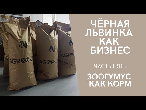 Видео: Чёрная львинка как бизнес. Часть пять. Зоогумус как корм.