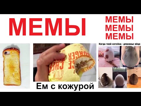 Видео: Мемы от Макса Максимова. Ем бургер с кожурой