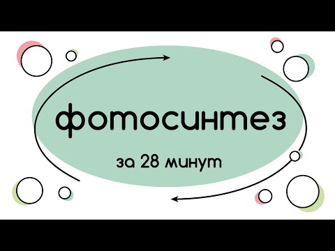 Видео: BioFamily | ФОТОСИНТЕЗ | ЕГЭ 2020