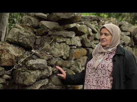 Видео: 20 шо даьлчи ц1аеънарг...