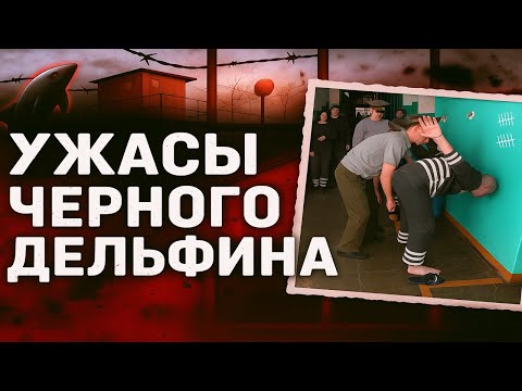 Видео: АД НА ЗЕМЛЕ: ЧТО ПРОИСХОДИТ ЗА СТЕНАМИ "ЧЕРНОГО ДЕЛЬФИНА"