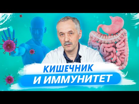 Видео: Как иммунитет связан с кишечником? Перспективы лечения аллергий, инсультов и рака / Доктор Виктор