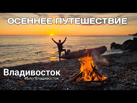 Видео: Путешествие по Приморскому краю в сентябре. Сивучи, гребешки, острова, яд могильник #БлогВладивосток