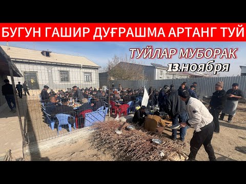 Видео: ТУЙЛАР МУБОРАК УЗИМИЗНИ МАХАЛАДА ТУЙ 13.11.25г