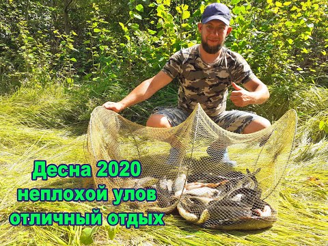 Видео: Рыбалка на реке Десна 2020 Хороший отдых на природе с ночевкой