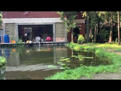 Видео: Где брать воду для заполнения пруда