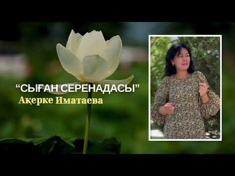 Видео: 17 июля 2024 г.