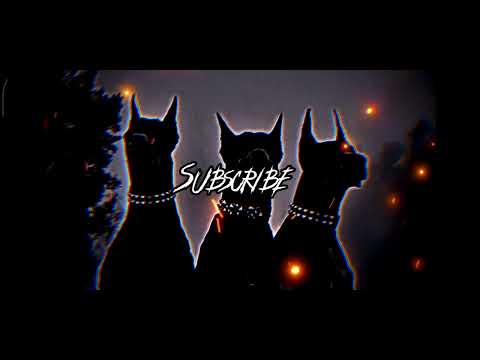 Видео: 3 ноября 2025 г.