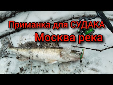Видео: РЫБАЛКА в ДЕКАБРЕ | Москва река | Приманка для СУДАКА | Открытие зимнего СПИННИНГА