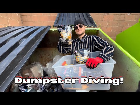 Видео: Найдены корм для домашних животных, журналы и многое другое в мусорных баках!