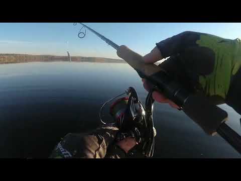 Видео: Краски осени рыбалка. #рыбак174 #щука #щуканаспининг #топ #fishing #gladiator #осень