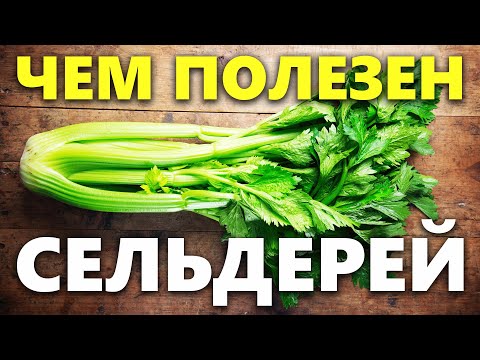 Видео: Сельдерей: польза и вред для здоровья человека
