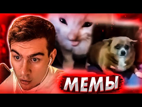 Видео: БРАТИШКИН СМОТРИТ МЕМЫ | ВЕБМЫ #8