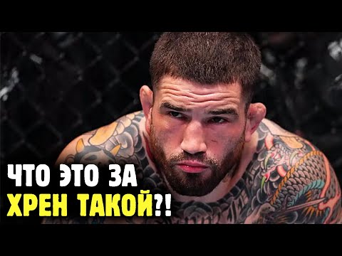 Видео: ШОН БРЭДИ - ОН КАК ХАБИБ, НО С ЧЕРНЫМ ПОЯСОМ! Будущий чемпион полусреднего?! Обзор от Яниса