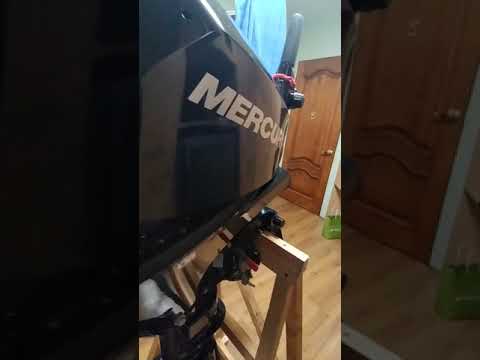 Видео: Mercury ME-F20 EFI кому он нужен?