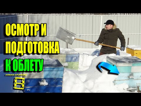 Видео: ПОДГОТОВКА К ПЕРВОМУ ВЕСЕННЕМУ ОБЛЕТУ ПЧЕЛ. ПОПУТНЫЕ РАБОТЫ НА ПАСЕКЕ ДЛЯ НАЧИНАЮЩИХ ПЧЕЛОВОДОВ 22-9